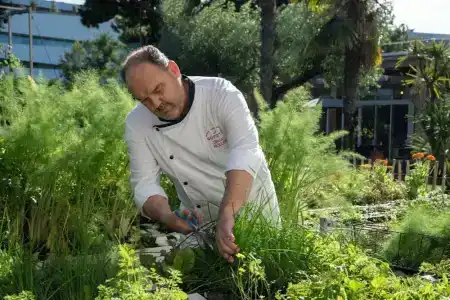 Novotel Nice Aéroport Cap 3000 - 34