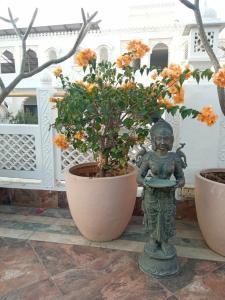 Rajasthan Palace Jalpur - 7