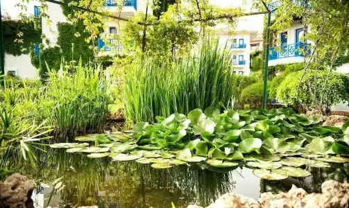 Belconti Resort - All Inclusive - 46