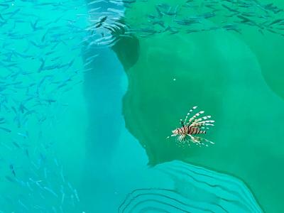 Pickalbatros Citadel Resort Sahl Hasheesh - 69