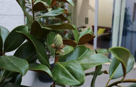 Guesthouse Villa Scalaria - 10