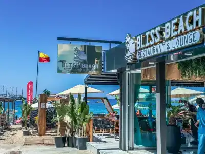 Royalisa Palmiye Beach +16 Adult Only - 30