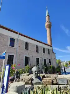 Club Cactus Fleur Beach - 13