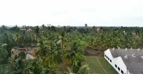 Leighton Resort - 46