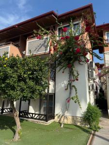 Justiniano Deluxe Resort – All Inclusive - 7