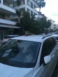 Kleopatra Atlas - Adults Only - 16