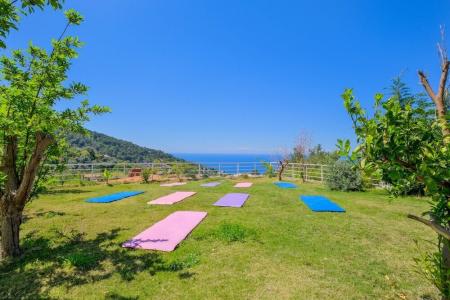 Highclere and Spa - 13