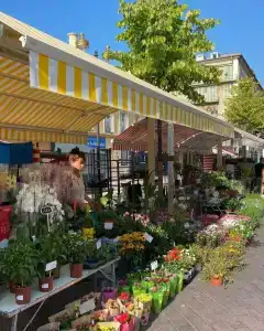 Le Riviera Collection, BW Signature Collection - 6