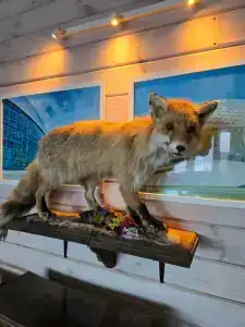 Park Grishkino Tourist base - 23