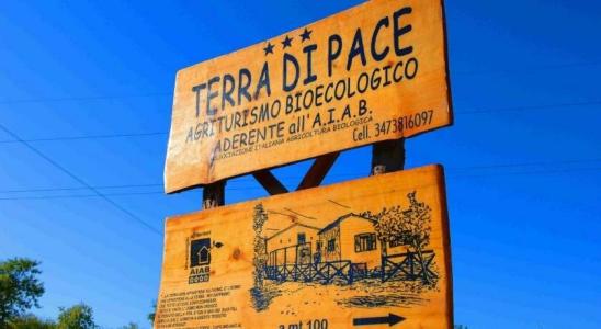 Agriturismo Terra di Pace - 0