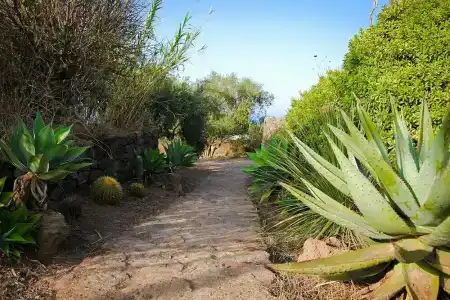 Zubebi Resort - 28