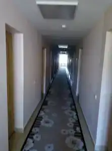 Belovezhskaya pushcha №2 - 45