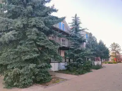 Uralskie Samotsvetyi - 7