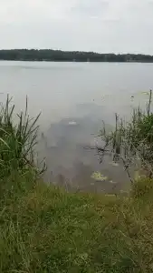 Камыши база отдыха - 32