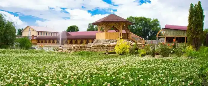 Zolotaya Rybka Resort - 9