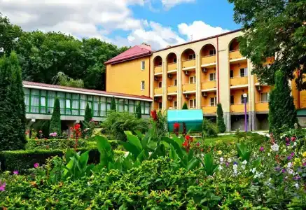 Sanatorii Lesnoi - 16