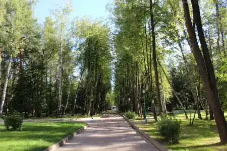 Dom Otdykha Elochki Sanatorium - 39
