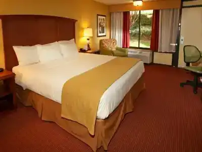 Rosen Inn at Pointe - 44
