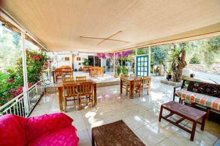 Eucalyptus Pension - 17