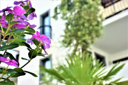 Modern Life Bodrum - 14