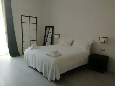 Gatto Bianco Duchessa - 24