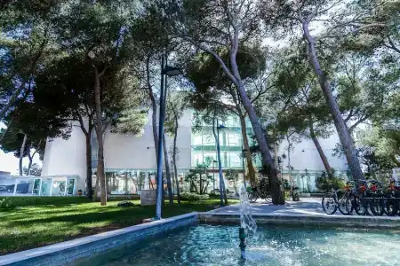 Zafiro Alzinar Mar Adults Only - Refurbished 2025 - 49
