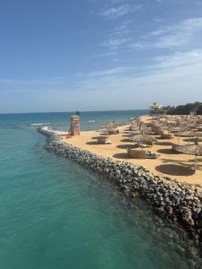 Desert Rose Resort - 50