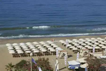 Blue Diamond Alya - 18