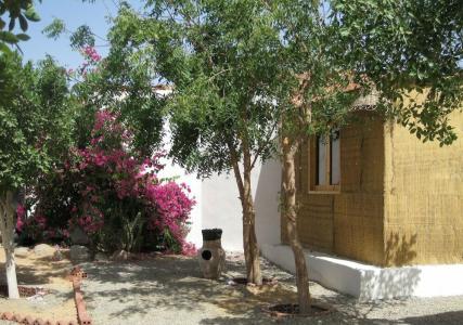 Umbi Sharks Bay Diving Village - 3