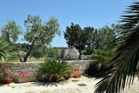 Agriturismo Masseria Calongo - 15