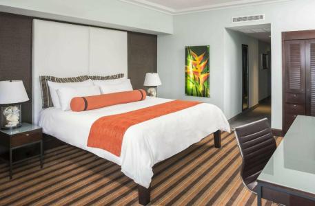 The Palms & Spa - 45