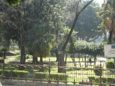 Jardin de France - 7