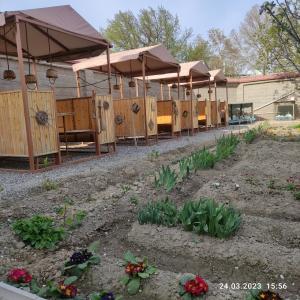 Stariy Marokand Guest House - 10