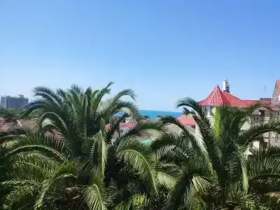 Odeon Guest House - 20