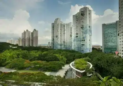Hongbo - 24