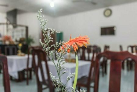 Galaxy Phu Quoc - 29