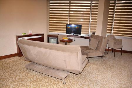 ASRİN BUSINESS - 46