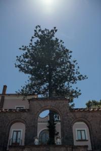 Capo Santa Fortunata - 24