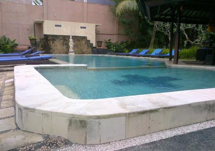Alpin Resort and Villa Ubud - 15