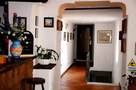 Don Pedro - 12