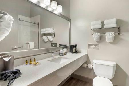 Best Western Plus Hobby Airport Inn Suites - 11