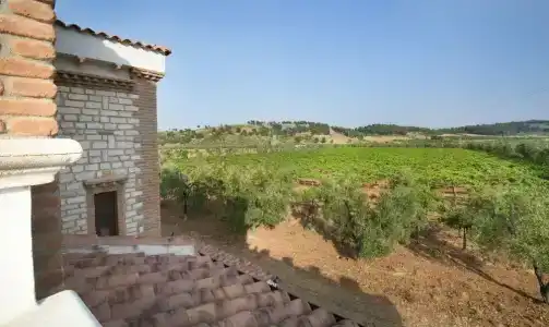 Agriturismo Posta Pastorella - 19