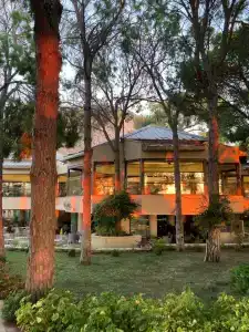 Champion Holiday Village - 49