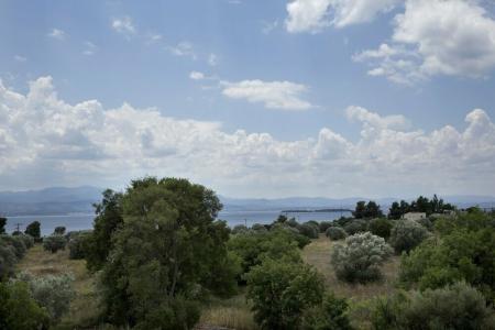 Eretria & Spa Resort - 32