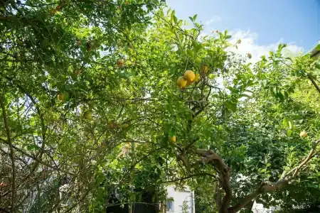 Maison Twentyfive - Guest House - Bed and Breakfast - 12