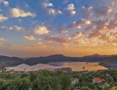 Swan Lake - Adult Only - 17