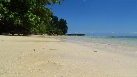 Reef Holiday Apartments - 37