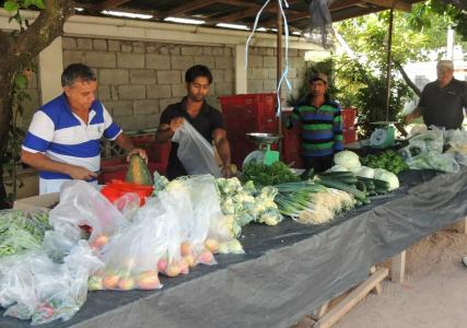 Reef Holiday Apartments - 20