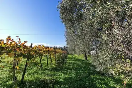Agriturismo Posta Pastorella - 12