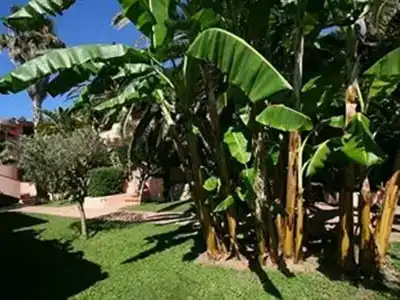 Villaggio Cala Di Volpe & Residence - 47